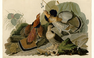 10+ Famous Watercolor Artists Who Continue to Influence Painting Today