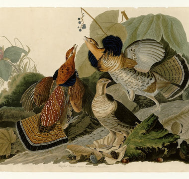10+ Famous Watercolor Artists Who Continue to Influence Painting Today