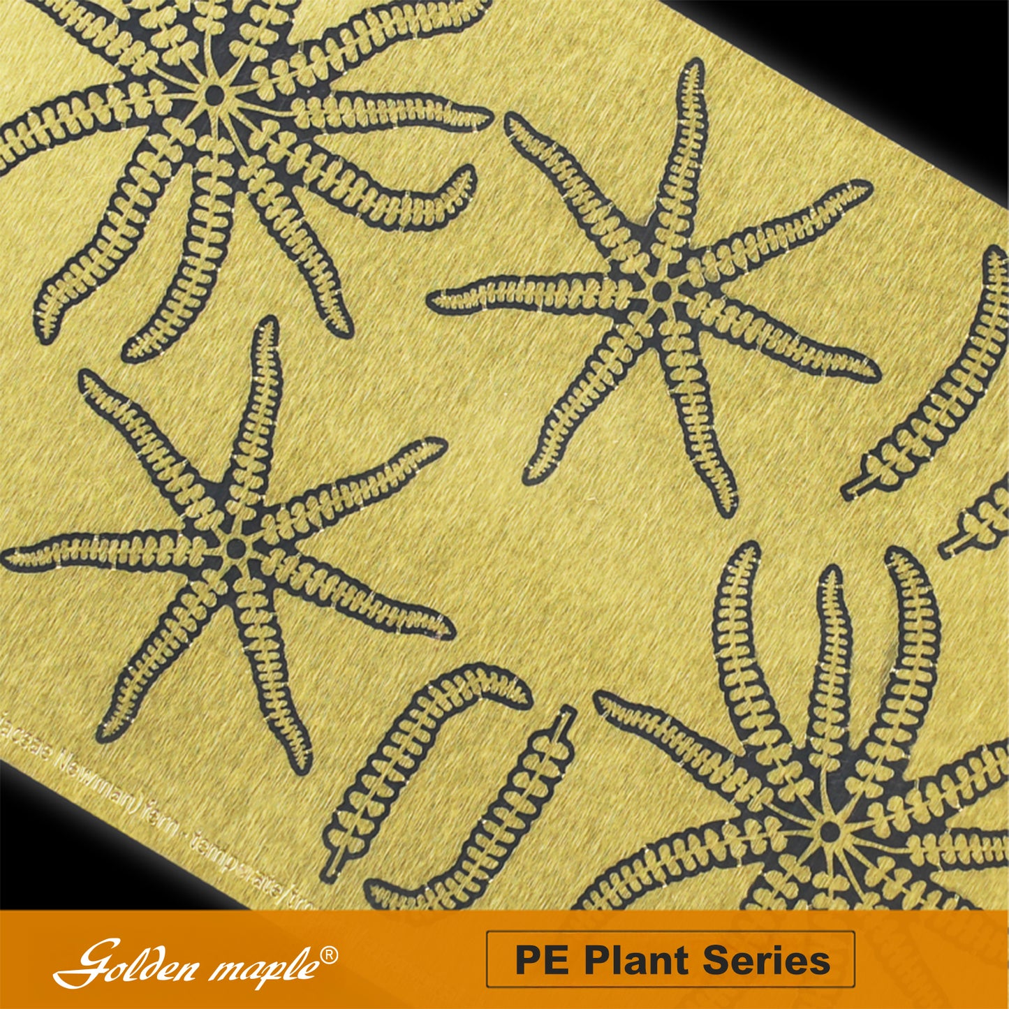 Golden Maple 1/48/35/24 Fern PE Etched Sheet Fern fern -Temperate /Tropical/Subtropical alpine worldwide