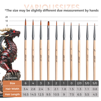 Brush hair width and length for brushes of different sizes.