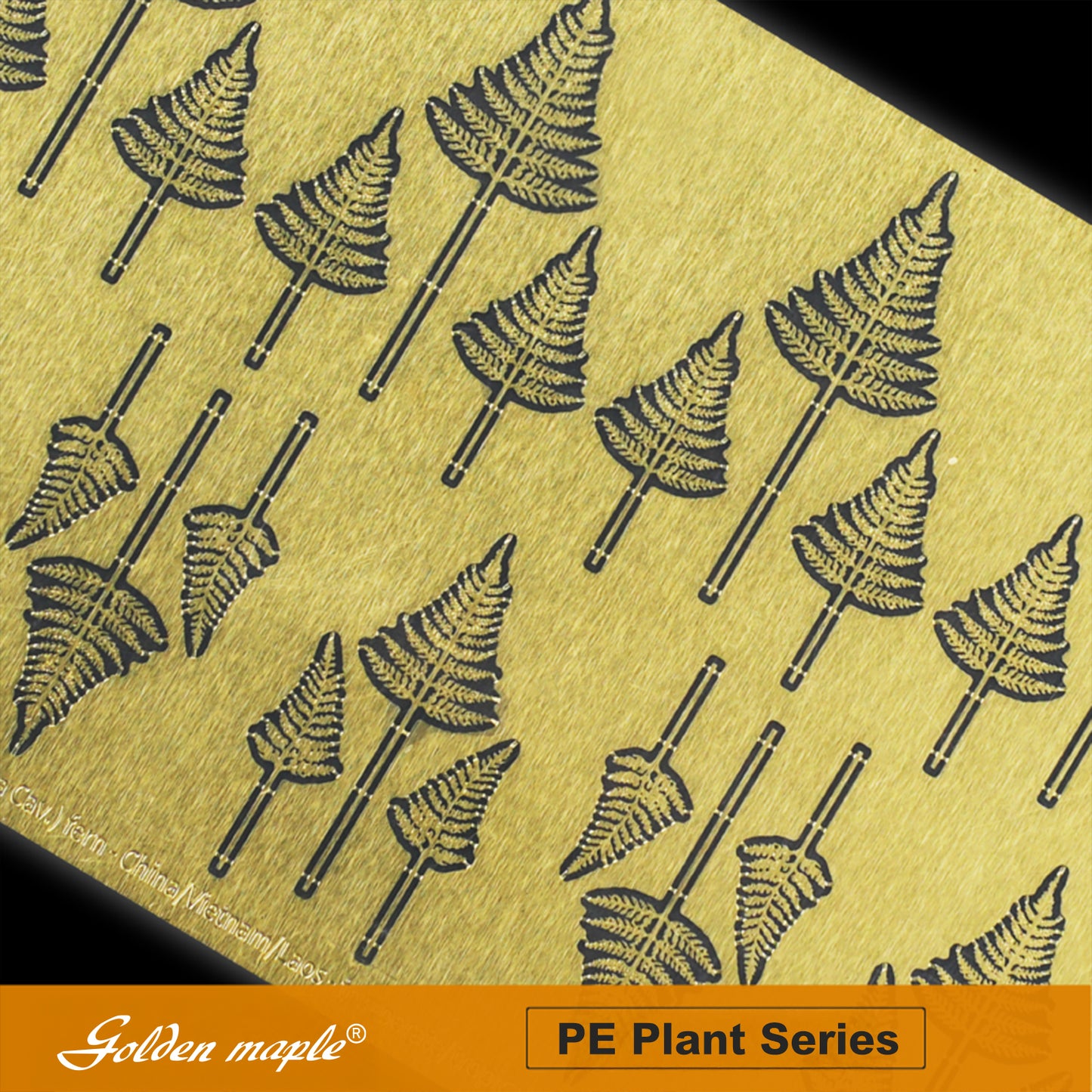 Golden Maple 1/48/35/24 Round Cap Yin Stone Fern PE Etched Sheet Fern