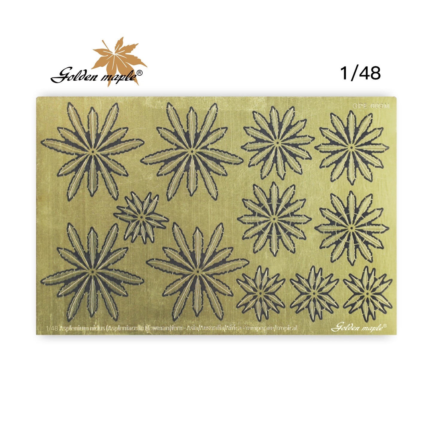 Golden Maple 1/48/35/24 Bird's Nest Fern PE Etched Sheet Fern