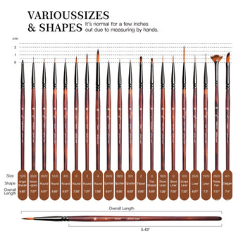 GoldenMaple 20pc micro detail paint brushes, displaying various sizes & shapes: round, liner, fan, dagger. Full-size guide.
