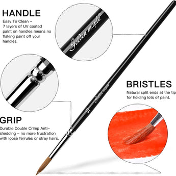 GoldenMaple sable paint brush features: UV handle, anti-shedding grip & natural split-end bristles for optimal paint holding.