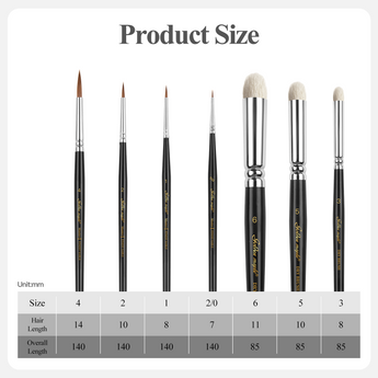Lengths of brushes in different sizes and lengths of their bristles.