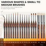 Variety of Golden Maple fine art brushes: spot, liner, detail, flat, round shapes in small to medium sizes, with a size chart.