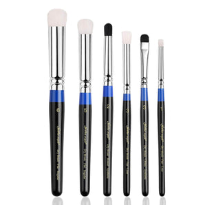 Professional Dry Brush Set - 6pcs