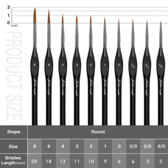 Bristle lengths for GoldenMaple fine detail round brushes of different sizes, and a comparison of their lengths.