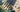 Brush Shapes: Flat VS Bright-artgoldenmaple