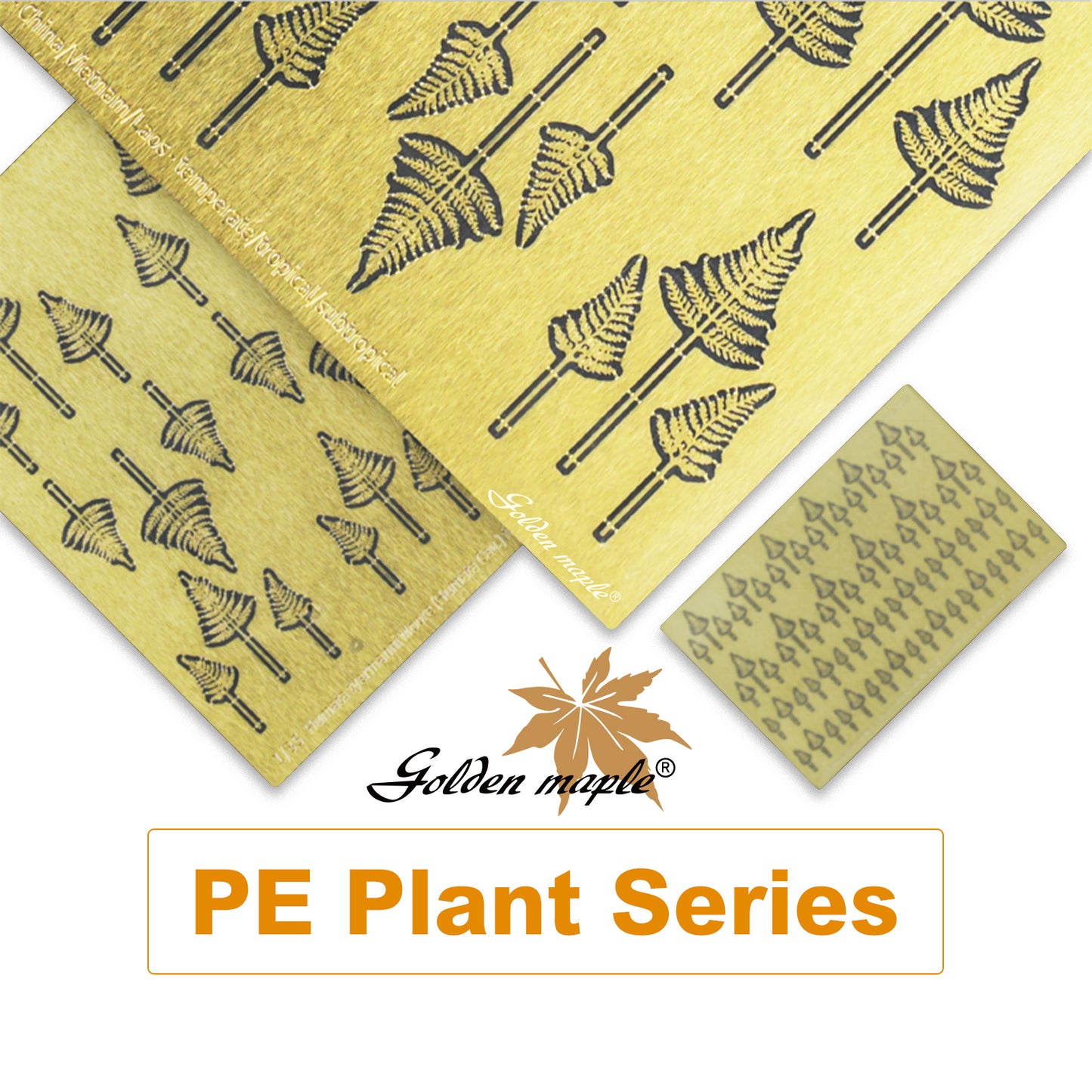 Golden Maple 1/48/35/24 Round Cap Yin Stone Fern PE Etched Sheet Fern