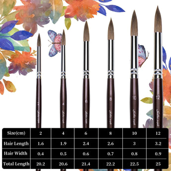 Product size guide for Kolinsky Sable watercolor brushes, detailing hair length and width for sizes 2 to 12.