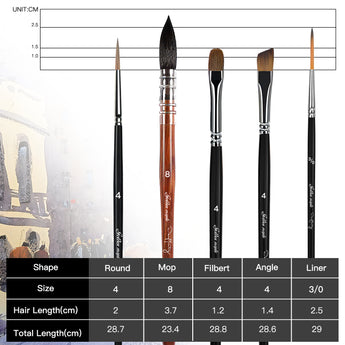 GoldenMaple 5pcs multi-shape paint brush set, size & dimension chart, round, mop, filbert, angle & liner art brushes.
