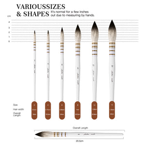 6pcs GoldenMaple Natural Hair Mop Paintbrush set from size 2 to 12 with a full dimensions chart.