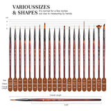 GoldenMaple 20pc micro detail paint brushes, displaying various sizes & shapes: round, liner, fan, dagger. Full-size guide.