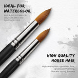 Two natural horse watercolor brushes, ideal for gouache, inks & fluid acrylics. High absorption & fine point.