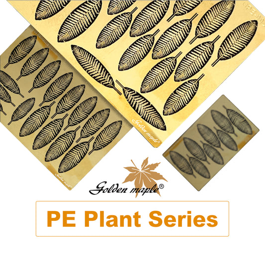 Golden Maple 1/48/35/24 Pod Fern PE Etching Sheet Fern-Europe/Asia-Temperate Zone Widely distributed around the world