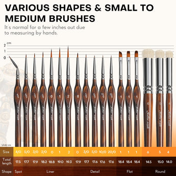 Variety of Golden Maple fine art brushes: spot, liner, detail, flat, round shapes in small to medium sizes, with a size chart.
