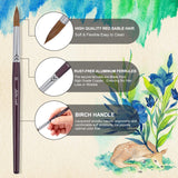 Red Sable Hair brush featuring rust-free aluminum ferrules and ergonomic birch handle for professional watercolor art.