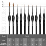 Bristle lengths for GoldenMaple fine detail round brushes of different sizes, and a comparison of their lengths.