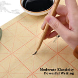 Chinese Calligraphy Brush, writing with black ink on grid paper for powerful writing, highlighting moderate elasticity.