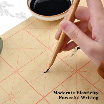 Chinese Calligraphy Brush, writing with black ink on grid paper for powerful writing, highlighting moderate elasticity.
