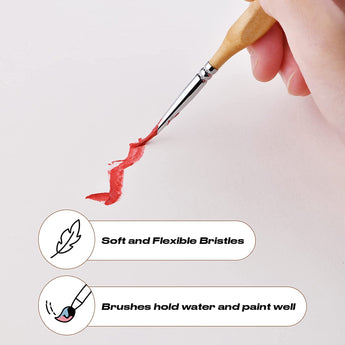 GoldenMaple detail brush with soft & flexible bristles, excellent water & paint holding capacity.