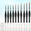 Golden Maple 10PCS Professional Sable Hair Detail Paint Brush Set