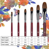 Sable Long Handle Filbert Paint Brush Set with detailed dimensions. Pro brushes for Watercolor, Oil & Acrylic Paint.