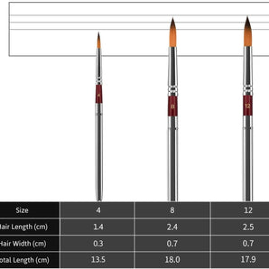 Nylon Watercolor Brush set: Sizes 4, 8, 12. Professional brushes with detailed hair length & width measurements for artists.