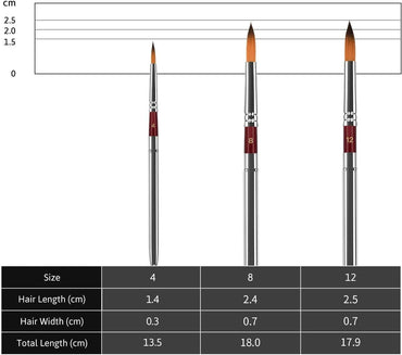 Golden Maple 6PCS Sable Long Handle Filbert Paint Brush Set (128) –  artgoldenmaple