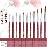 Golden Maple Master I Finest Sable Brushes, complete size range 000-8, dimension specification chart.